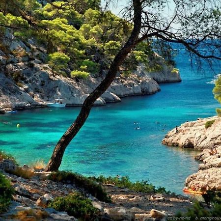 Ciotat Colada Beau Duplex Atypique A 50 M Du Port Classe 3 Etoiles La Ciotat Eksteriør billede