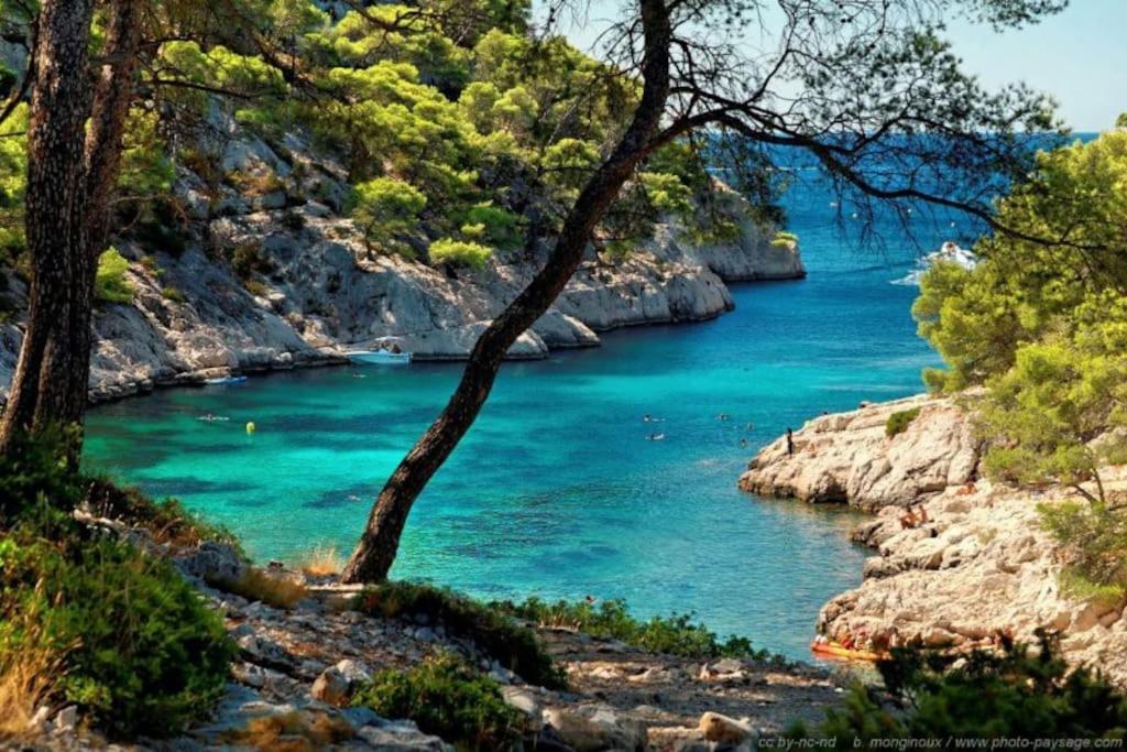 Ciotat Colada Beau Duplex Atypique A 50 M Du Port Classe 3 Etoiles La Ciotat Eksteriør billede